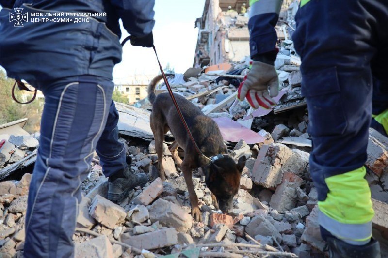 Search dogs of the Sumy rapid-response centre at the site, 8 Oct