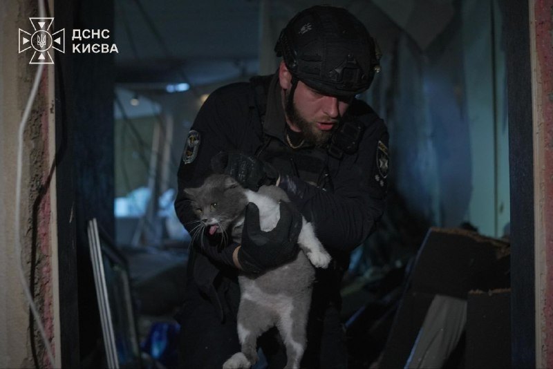 Un rescatista saca a un gato del edificio dañado, 21 oct.