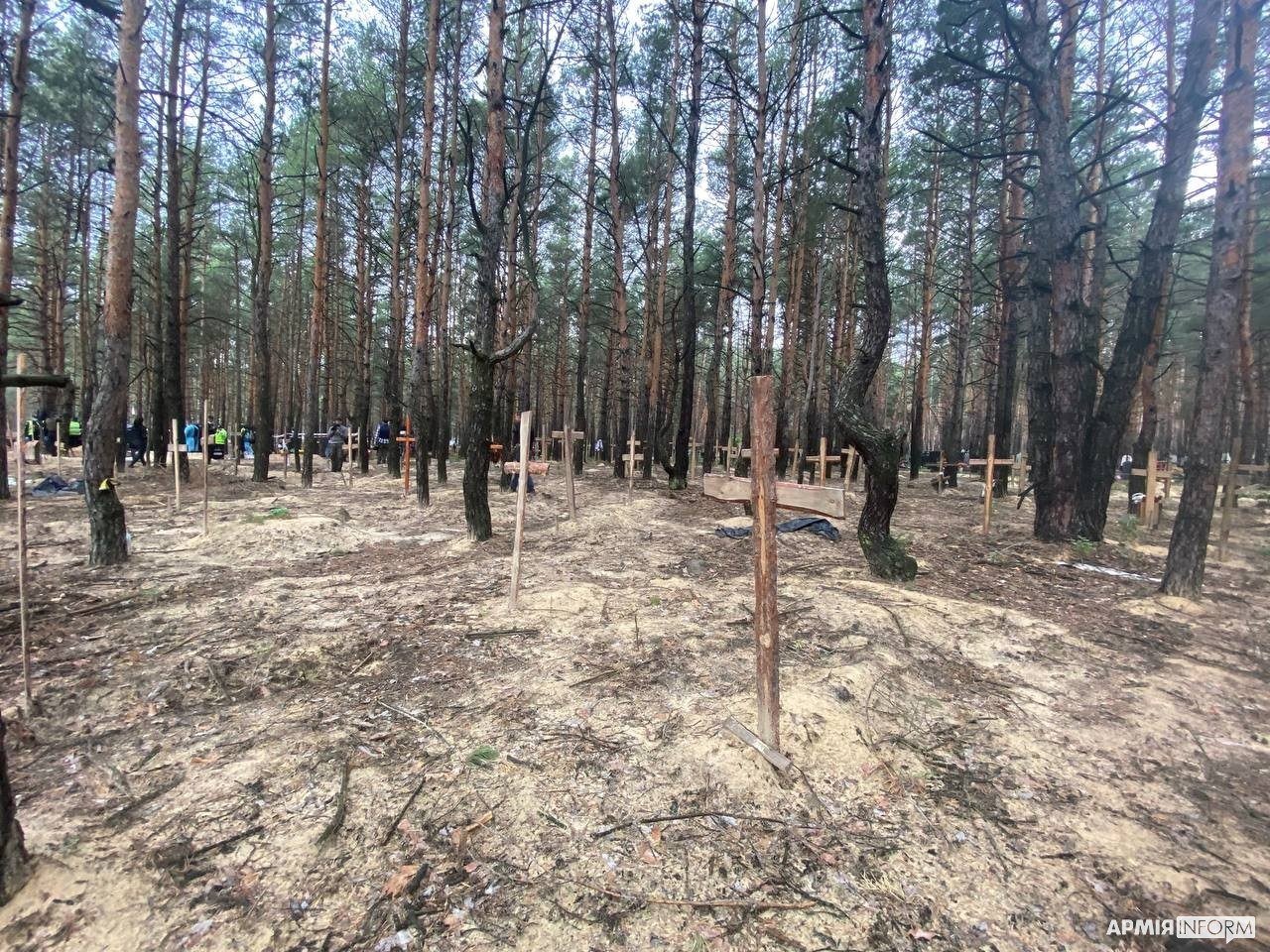 Le lieu d'inhumation dans la pinède près du cimetière de Pichtchanske, Izioum, 16 sept. 2022