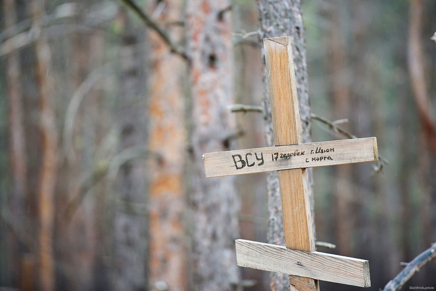 Une croix en bois numérotée sur le lieu d'inhumation